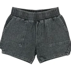 BODIE MINERAL DAD SHORTS