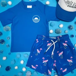 ICON SHORT SLEEVE RASH GUARD