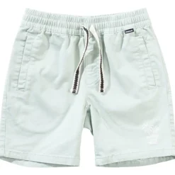 PALM TREES SHORTS
