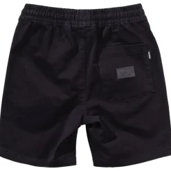 PALM TREES SHORTS