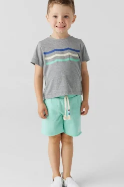 PALM WAVES SHORTS