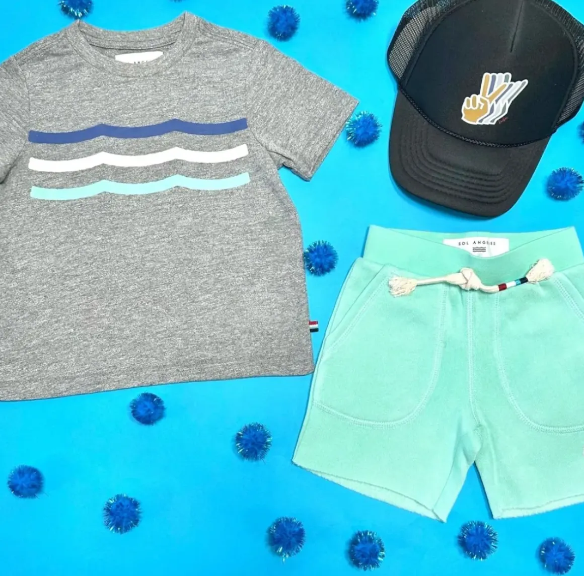 PALM WAVES SHORTS