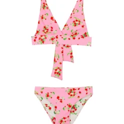 STRAWBERRIES ALLIE REVERSIBLE TRIANGLE TWO PIECE BIKINI