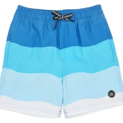 WAVES STRIPE SWIM TRUNKS